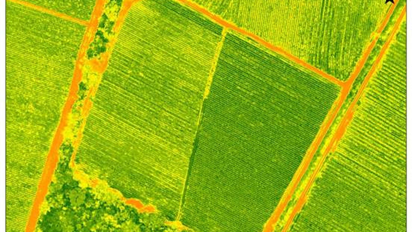 Mapa de índice de vegetación de alta resolución