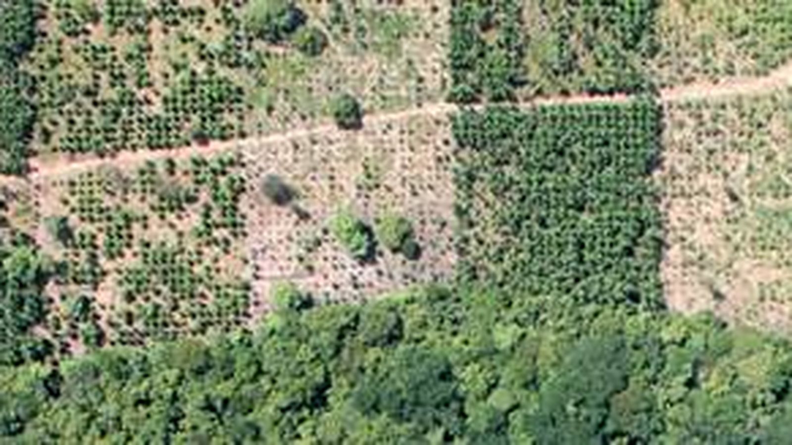 Video aéreo HD para promoción y relevamientos